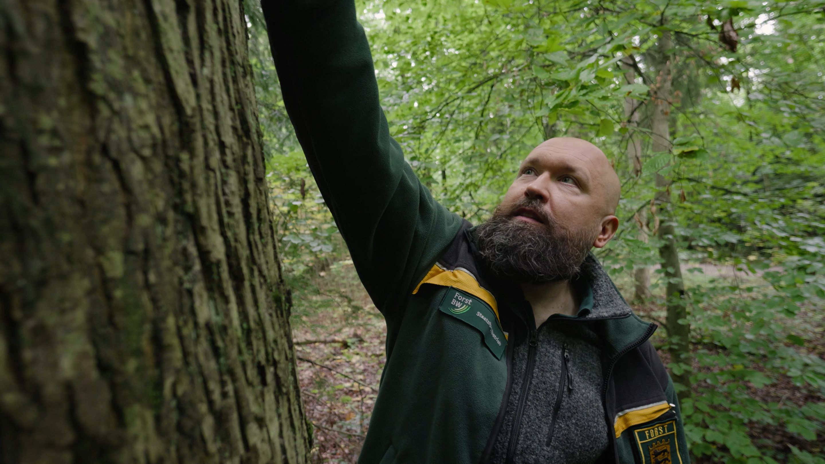 Ein Mann bewegt sich durch den Wald.