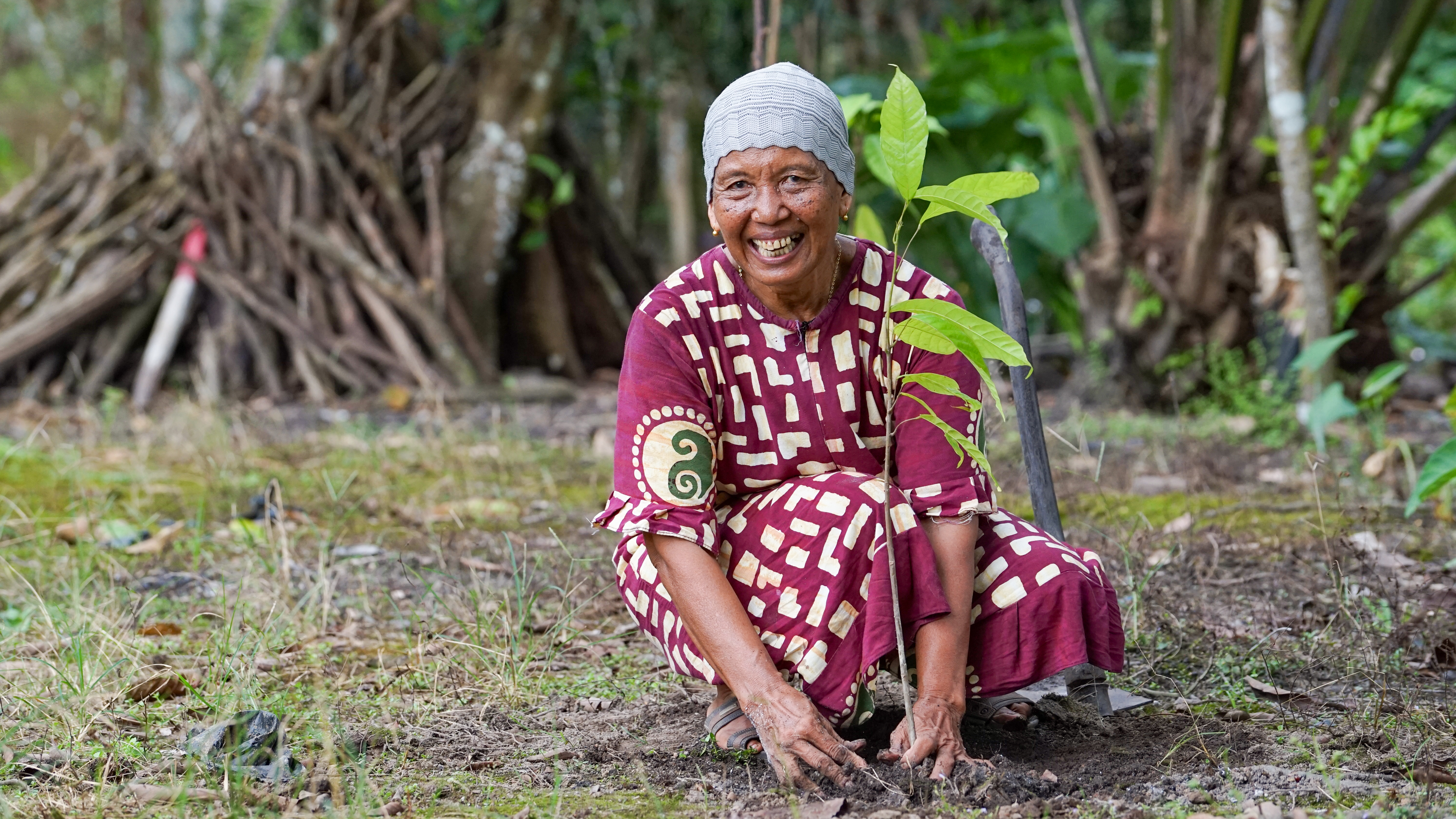 Eine Frau pflanzt einen Setzling in Indonesien.