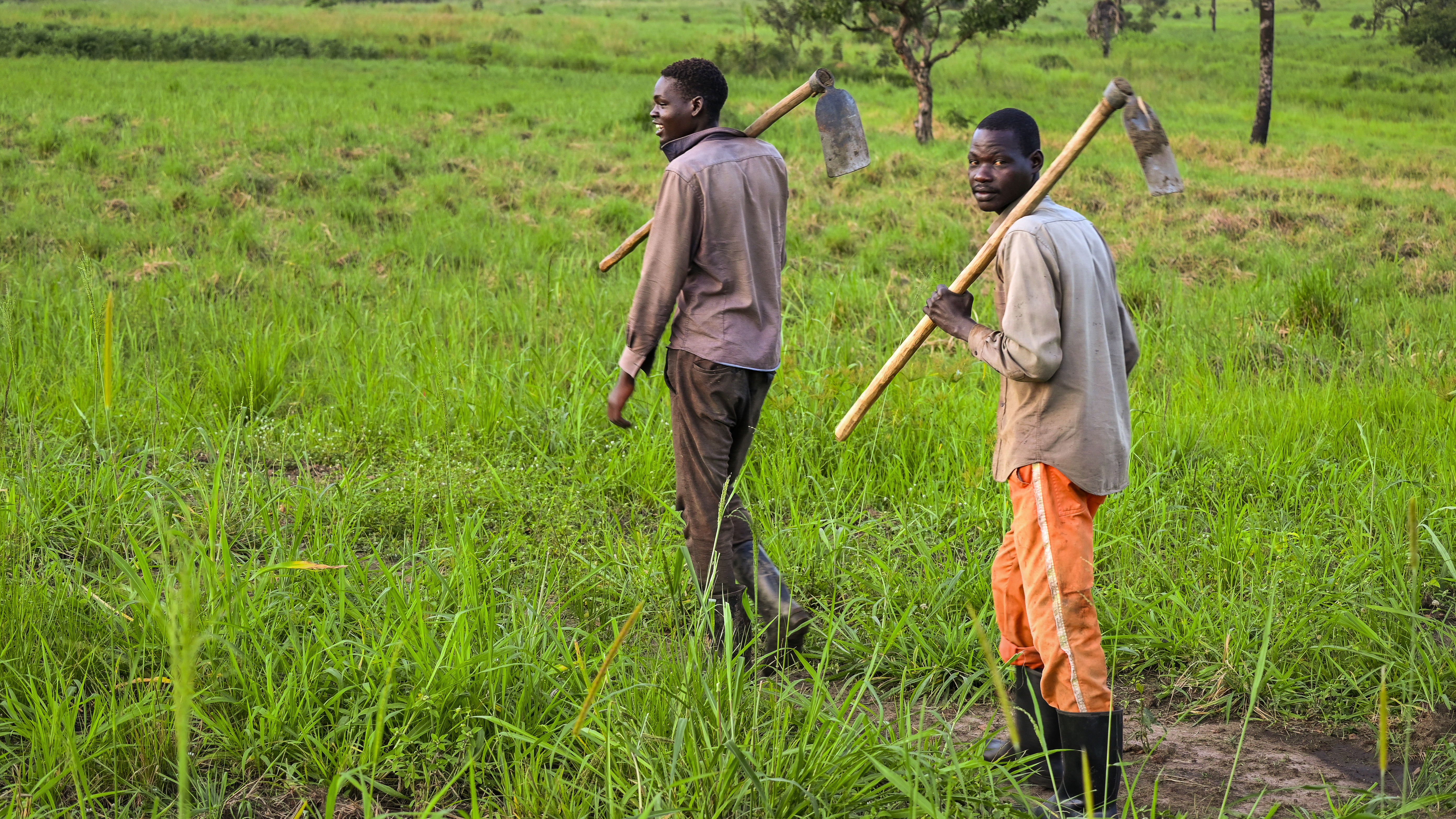 Zwei M&auml;nner mit Spitzhacken auf einem Feld in Uganda.